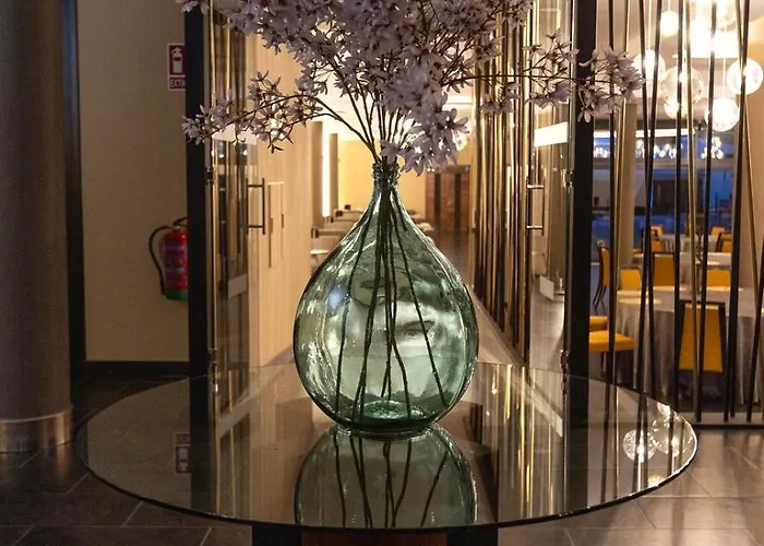 Hotel Estacion Olmedo